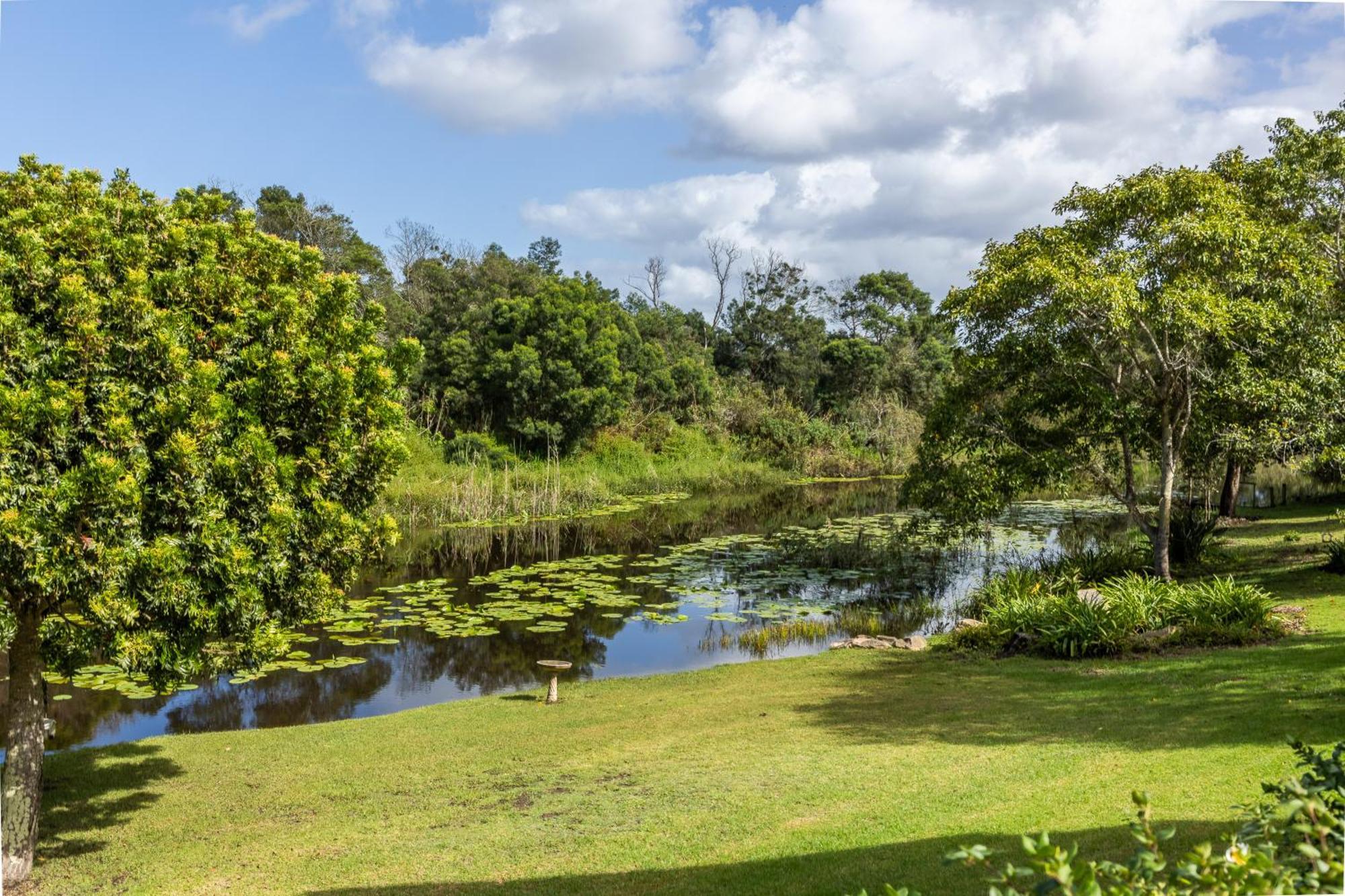 Bitou River Lodge Plettenberg Bay Eksteriør bilde